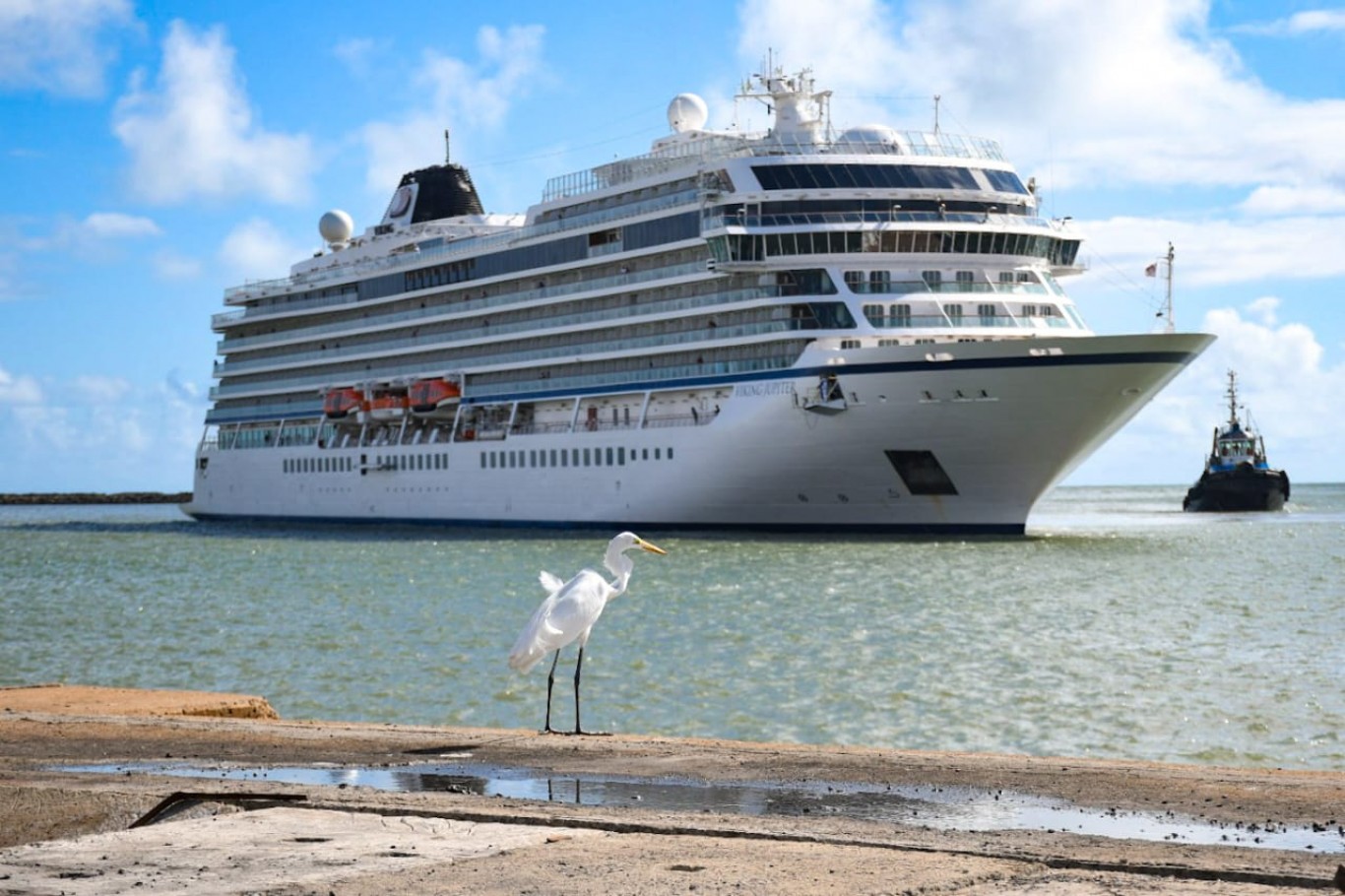 Porto do Recife vai receber R$ 110 milhões em investimento para se tornar ‘hub’ de cruzeiros do Nordeste