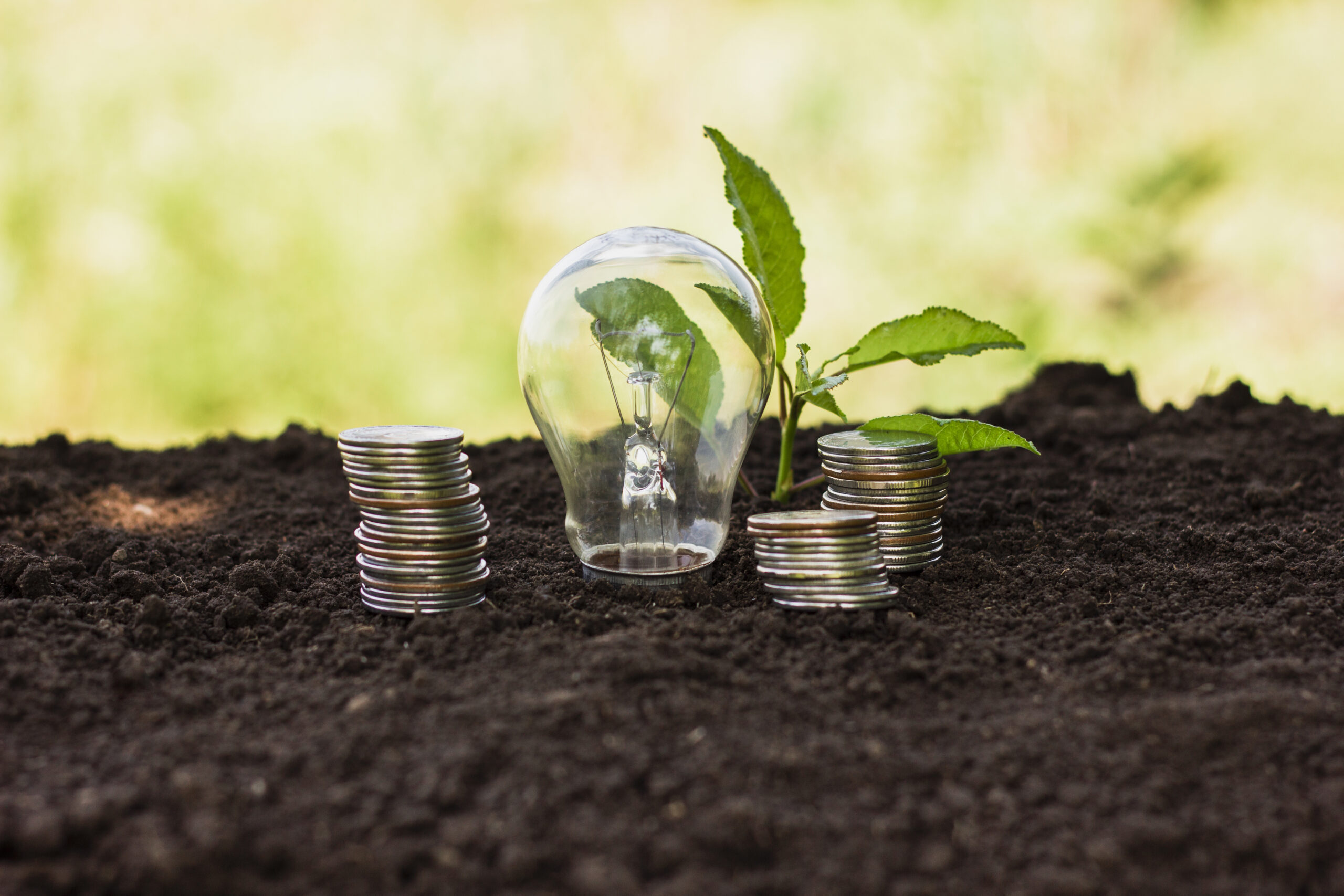 Nordeste pode liderar transição para economia de baixo carbono