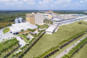 M. Dias Branco registra receita de R$ 10,4 bilhões e lucro de R$ 660 milhões em 2025